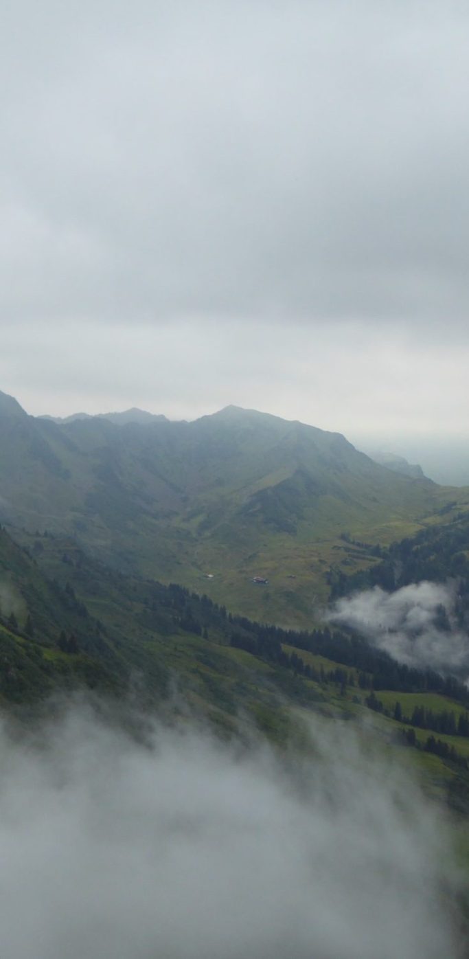 Grüne Berge im Nebel